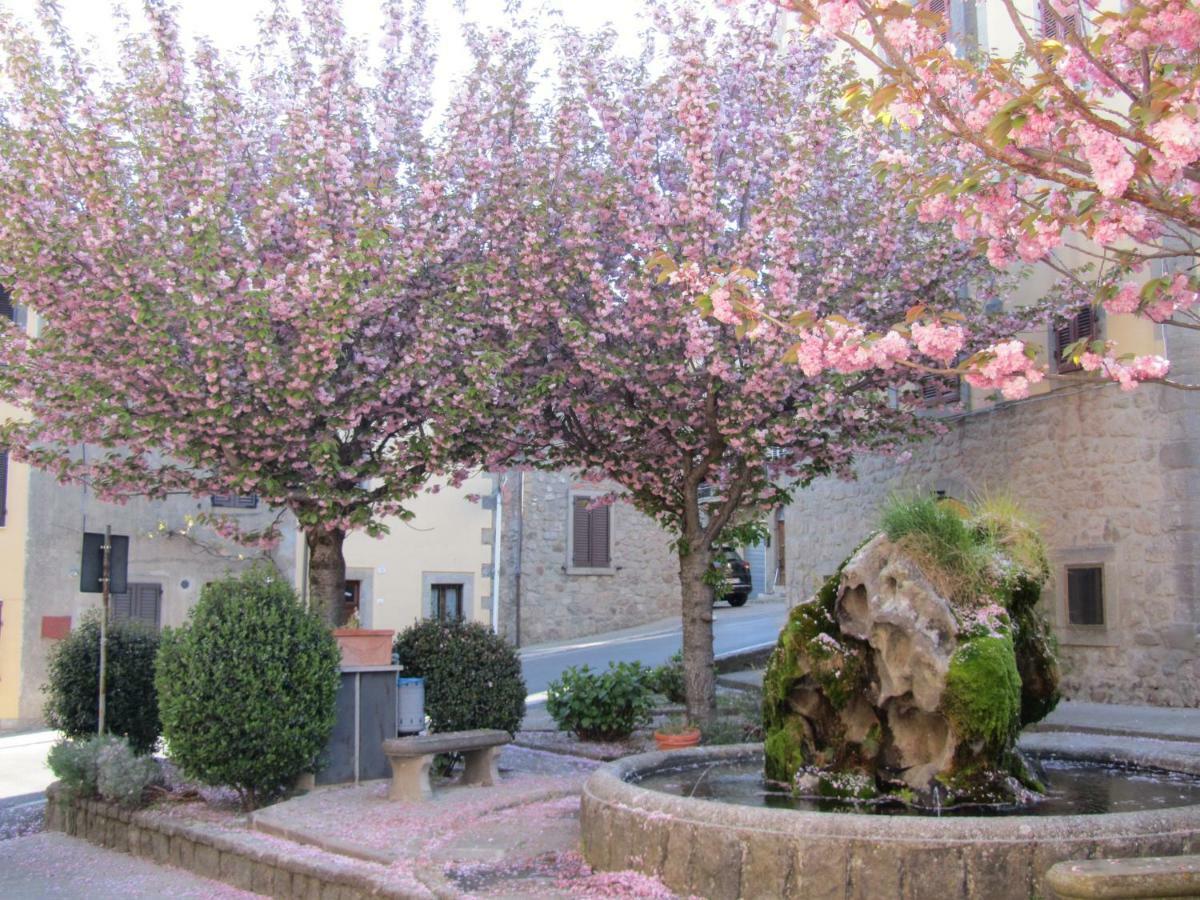 Casa Giuly Lägenhet Vivo dʼOrcia Exteriör bild